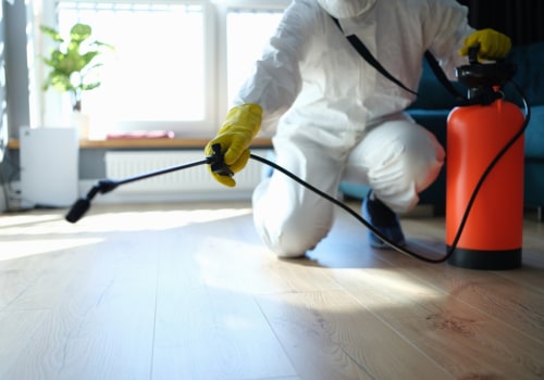 The Most Effective Pest Control Methods: An Expert's Perspective